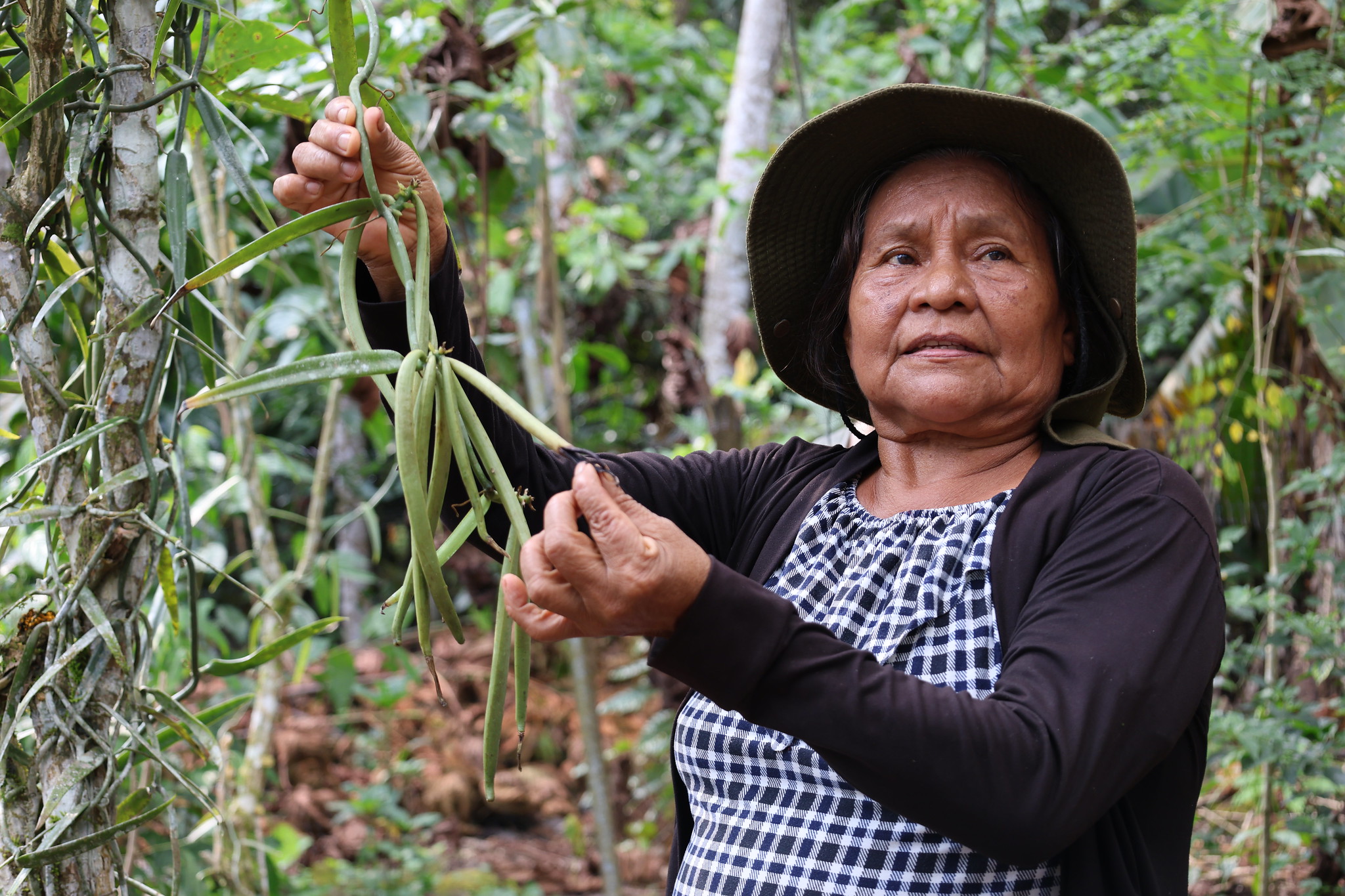 Indigenous Economy - Ecuador