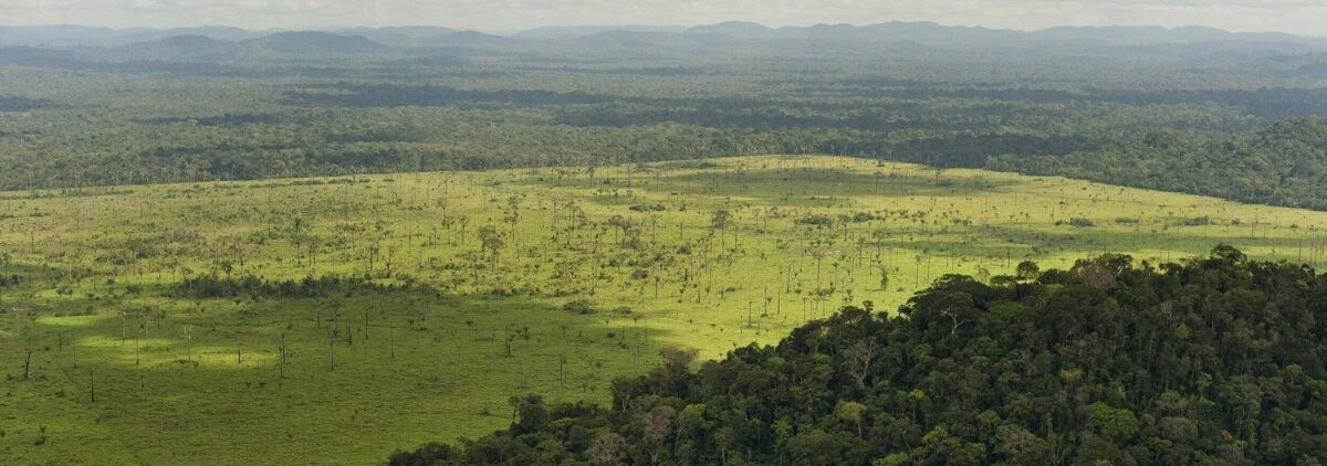 An aerial view showing forest cleared for cattle ranching at São Félix do Xingu, a municipality in the Brazilian Amazon that has one of the highest rates of deforestation in the country. PHOTO CREDIT: © TNC/Haroldo Palo, Jr.